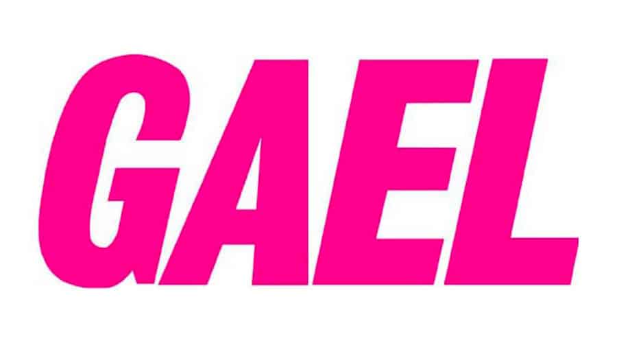  Logo Gael - Page presse Little Green Box